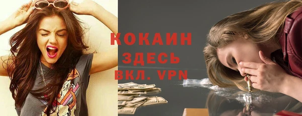 гашик Арсеньев