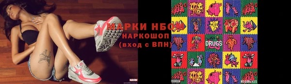 гашик Арсеньев