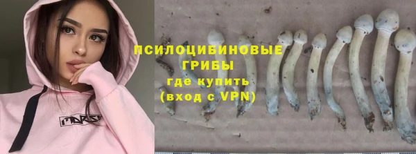 гашик Арсеньев