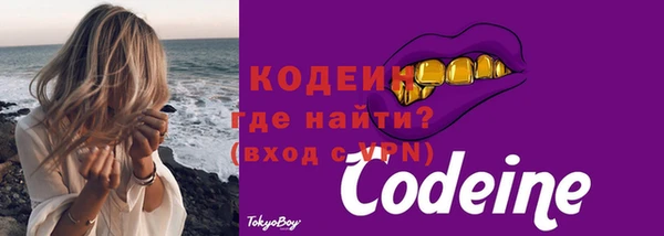 гашик Арсеньев