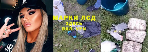 гашик Арсеньев