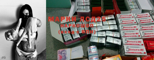гашик Арсеньев