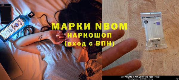 гашик Арсеньев