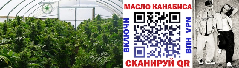 ТГК Wax  Шебекино 
